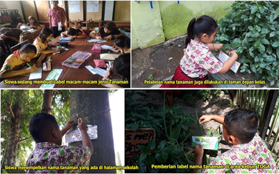 KARYA AKSI SISWA MEMBERI NAMA JENIS TANAMAN